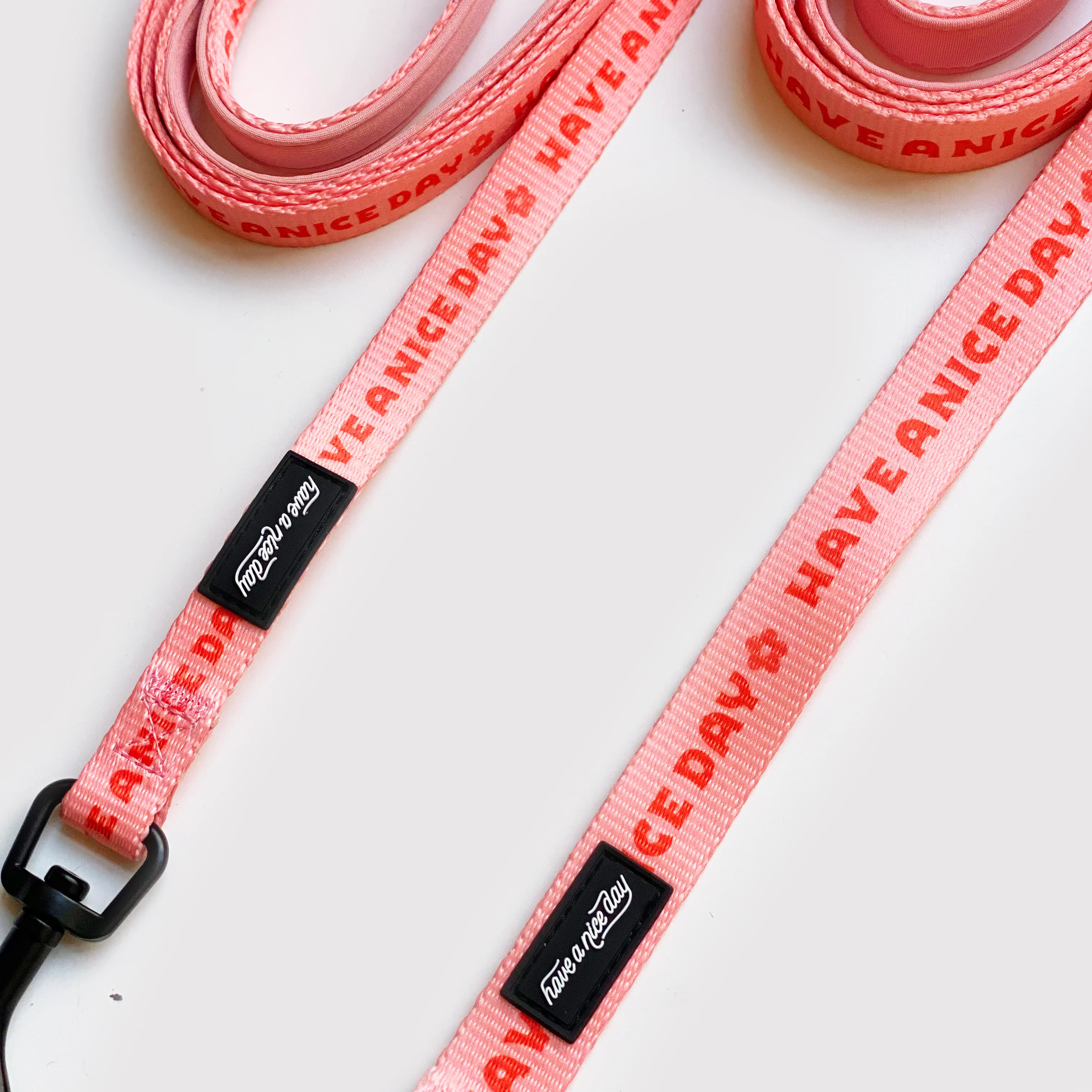 Have a Nice Day Daisy Dog Leash